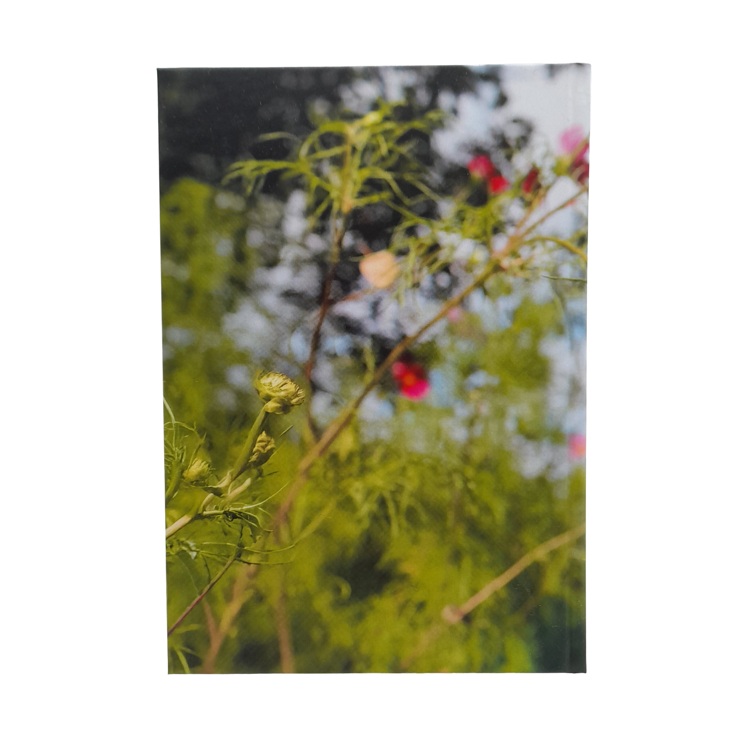 Havens Hospices Notebook