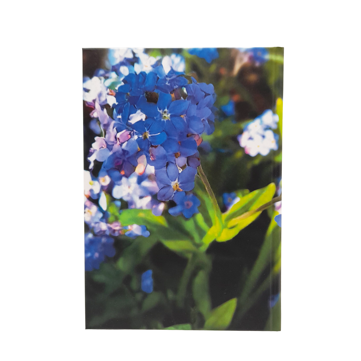 Havens Hospices Notebook