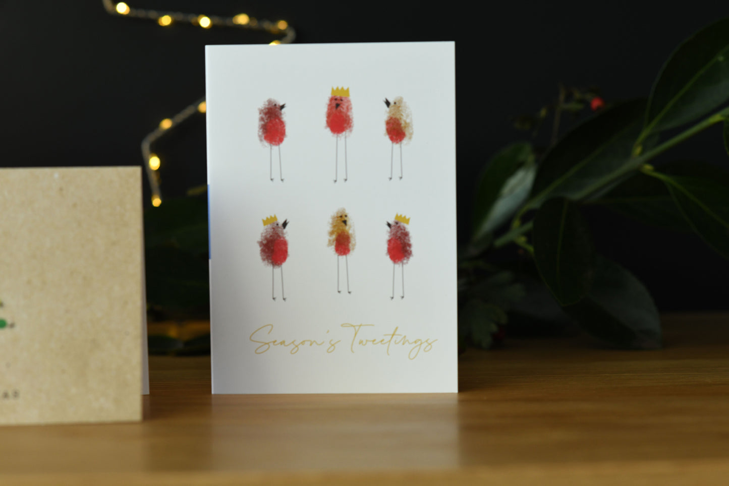 Charity Christmas Card Pack 2024