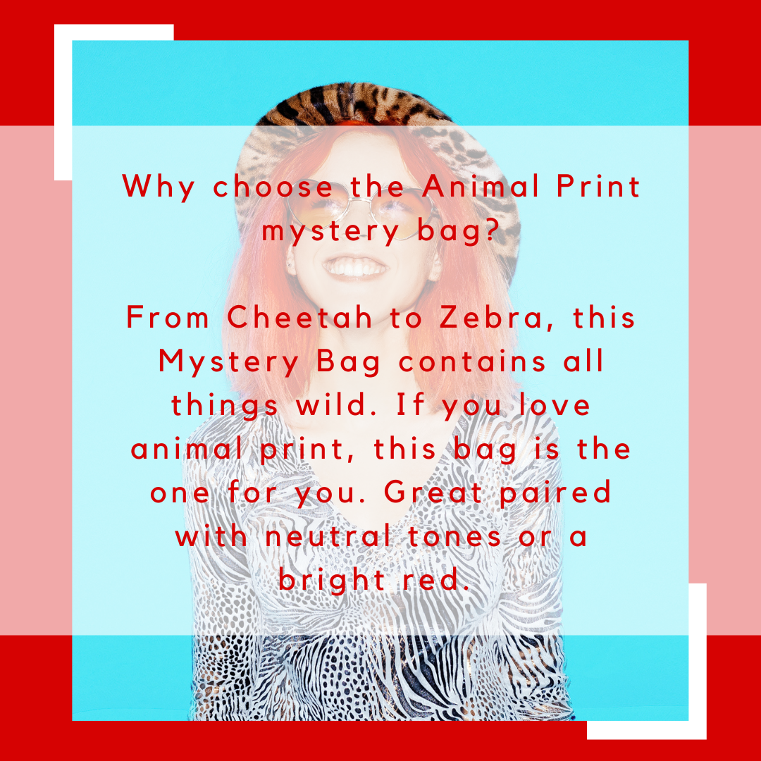 Animal Print Mystery Bag (Women) 4 Clothing Items