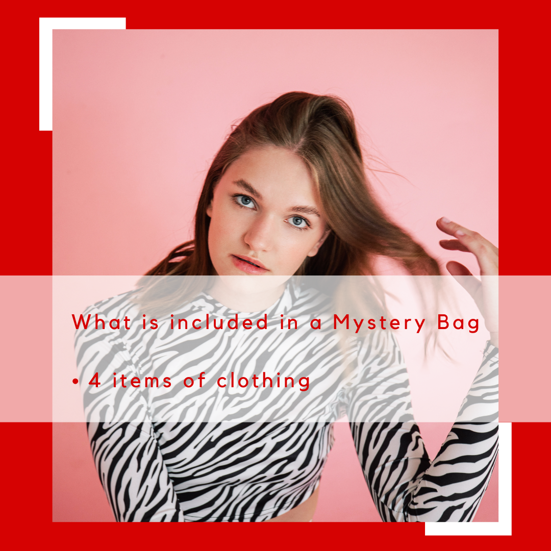 Animal Print Mystery Bag (Women) 4 Clothing Items